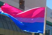 Bisexual awareness flag