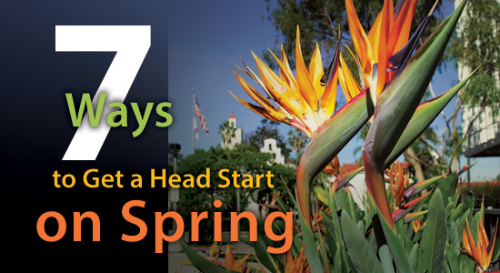 7 ways to get a head start on spring