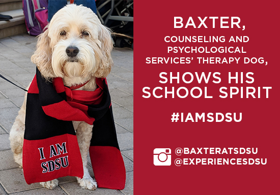 follow baxter @baxteratsdsu for more about CPS' therapy dog