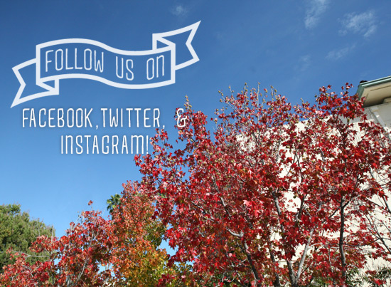 Follow us on Facebook, Instagram and Twitter