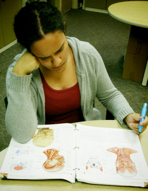 student studying anatomy